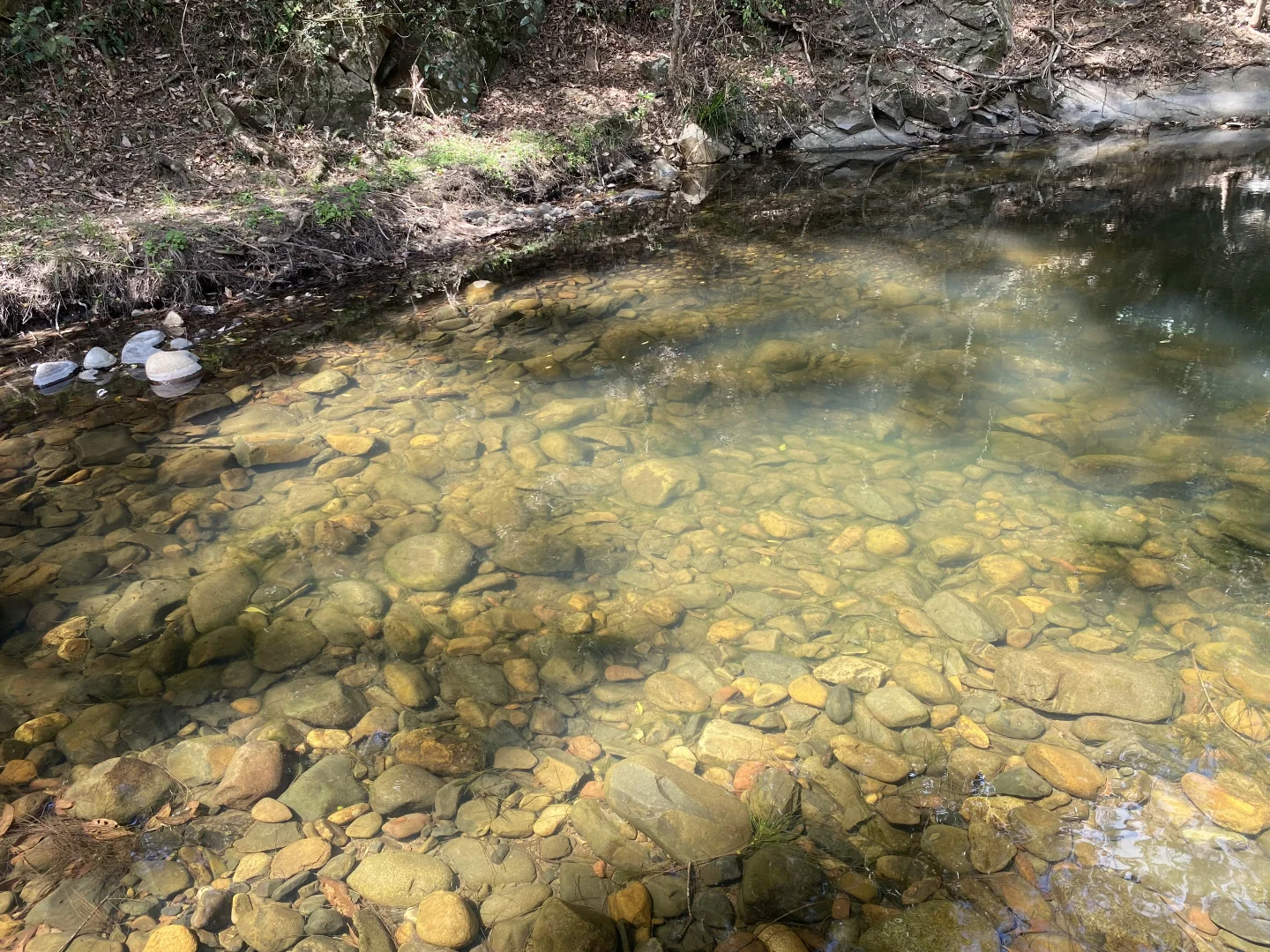 Additional image 12 of 343 Berrico Creek Road, Gloucester NSW 2422