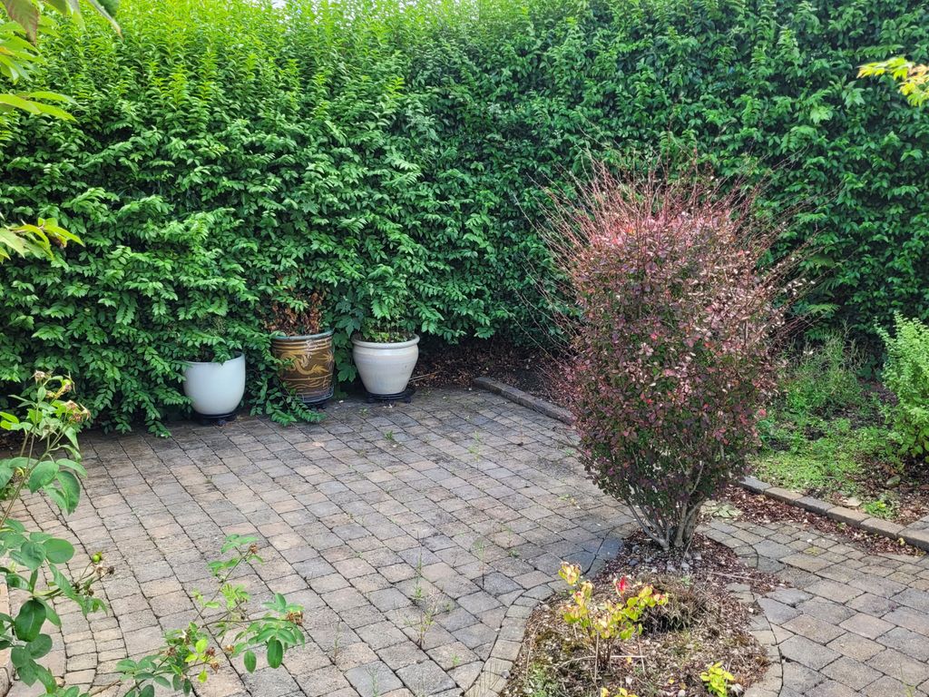 Additional image 22 of 3 bed semi-detached house to rentGartcows Road, Falkirk FK1