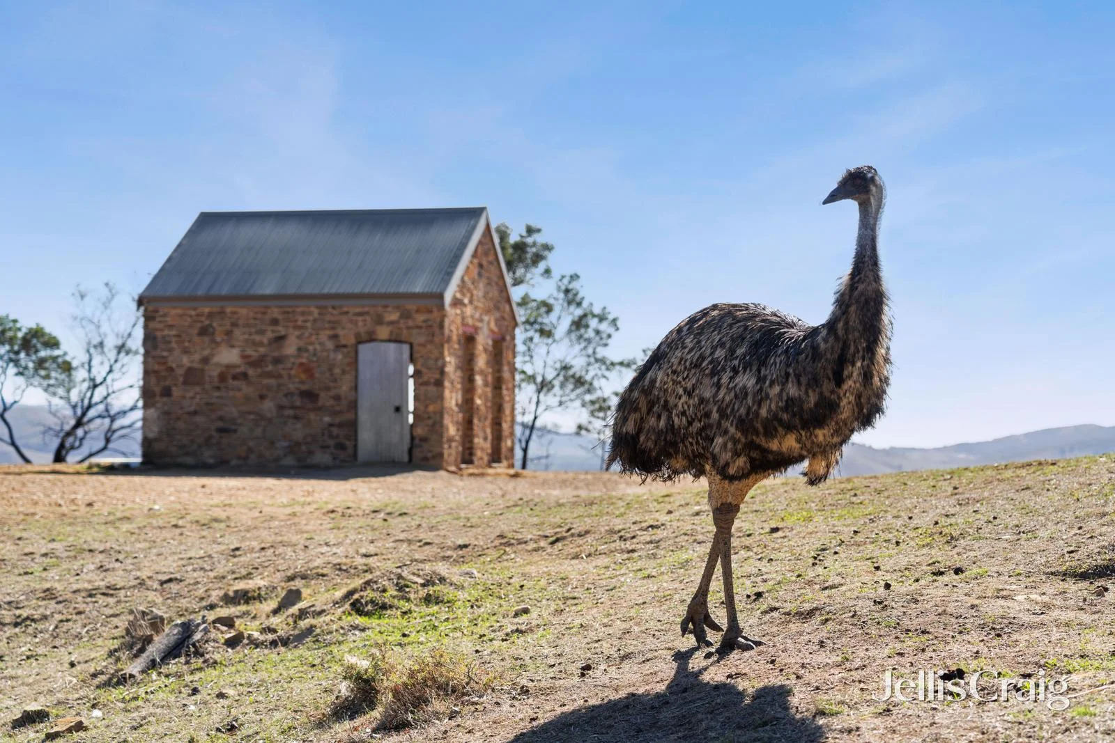 Additional image 26 of Lot 8 Ben Major Track, Mount Lonarch VIC 3468