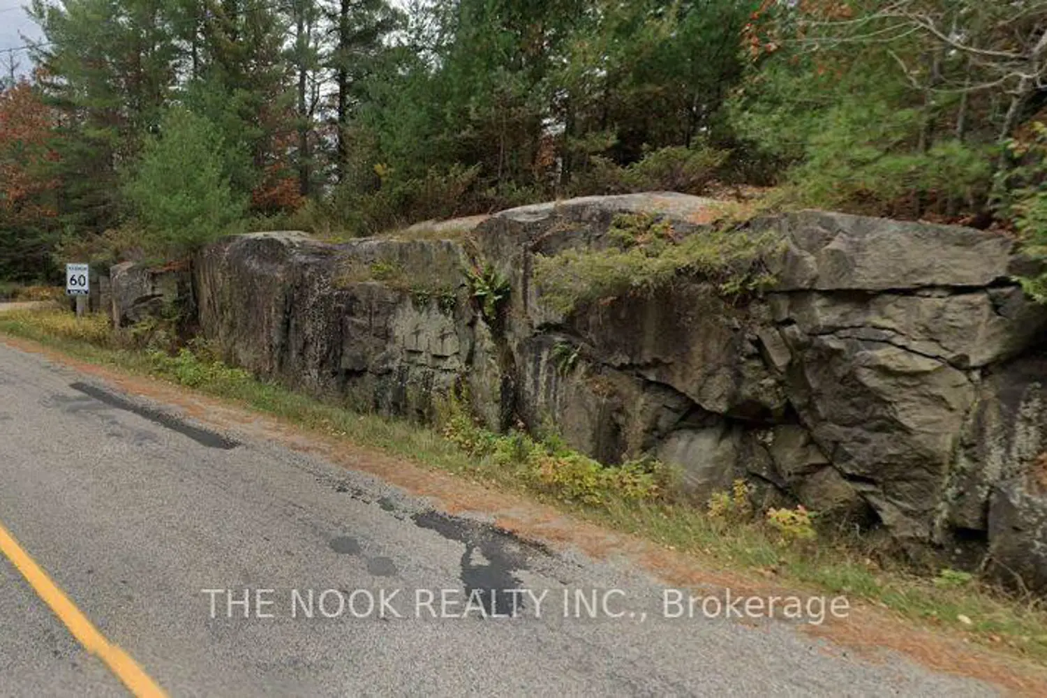 Additional image 6 of 00 Pine Path