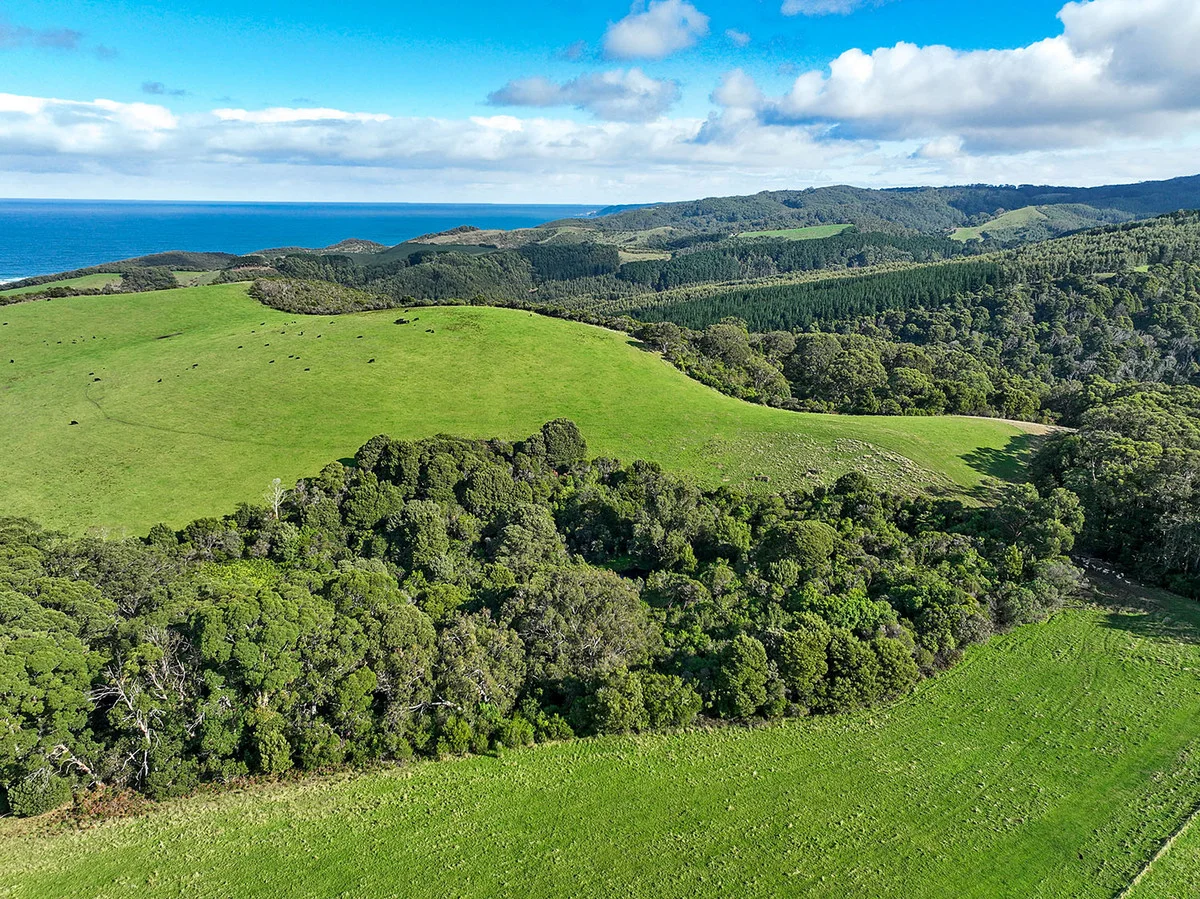 Additional image 3 of 105 Stafford Road, Johanna VIC 3238