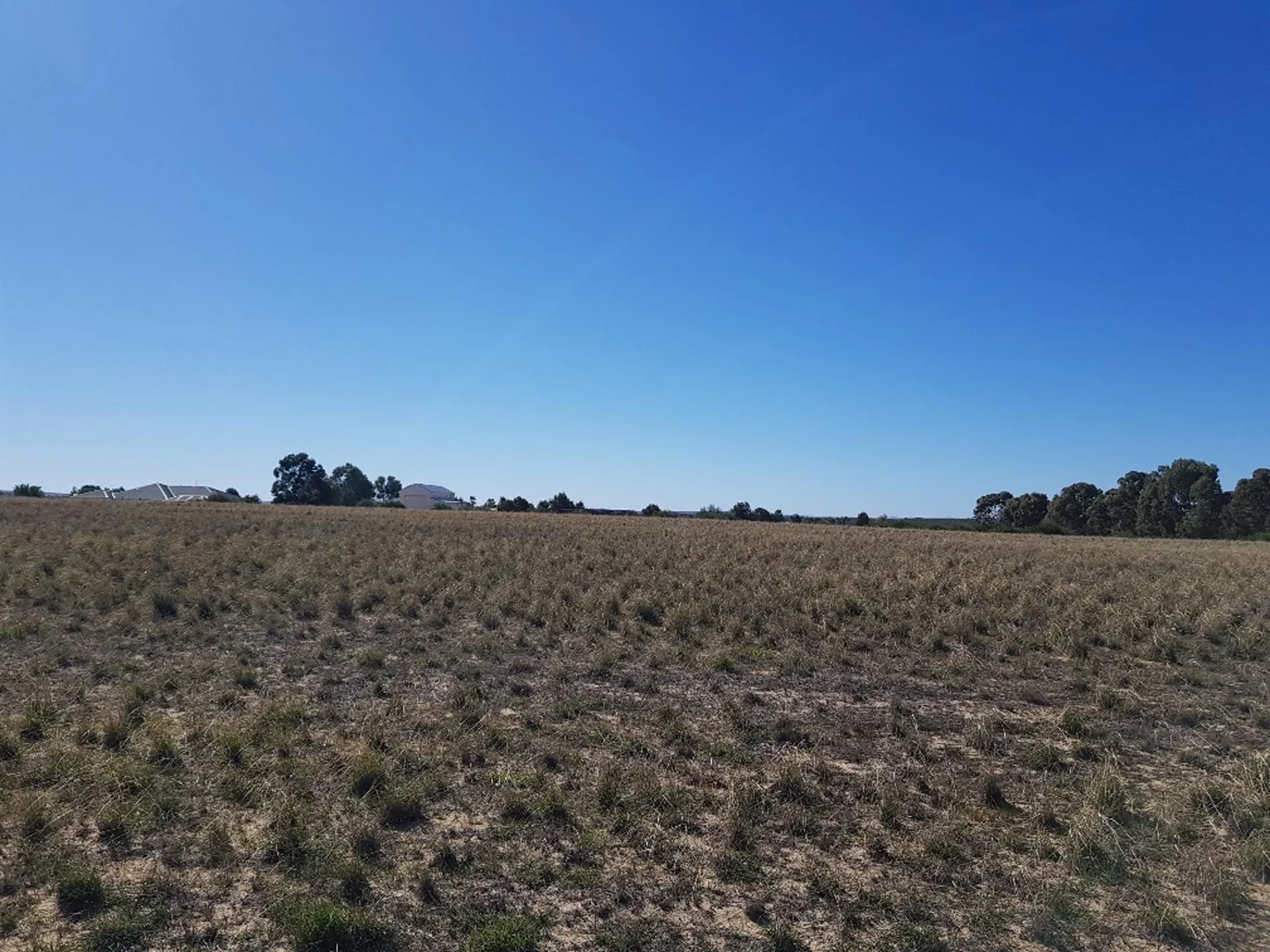 Additional image 10 of 114 Ocean View Parade, Jurien Bay WA 6516