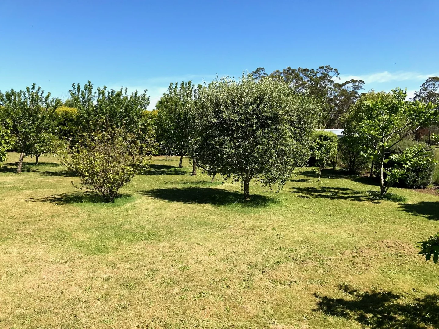 Additional image 4 of 518 Princes Highway, Bolwarra VIC 3305