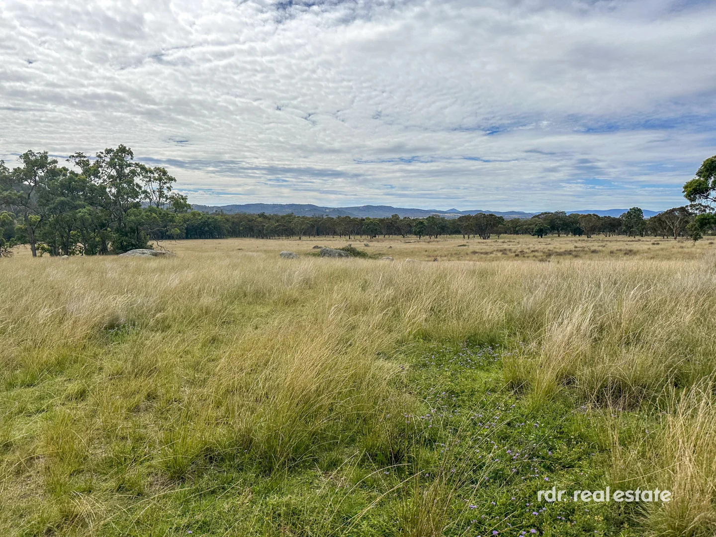 Additional image 23 of 1305 Bingara Road, Bundarra NSW 2359