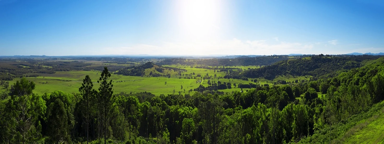 Additional image 12 of Dalwood NSW 2477