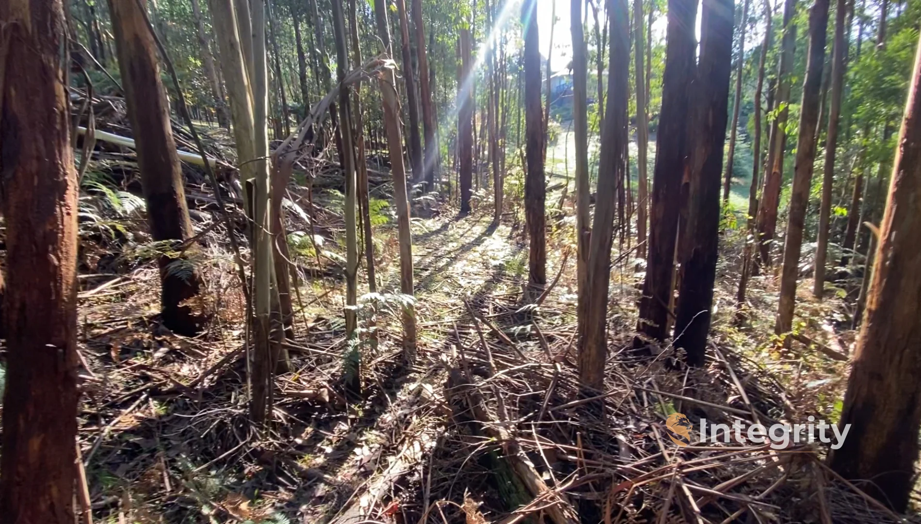 Additional image 13 of 47 Bald Spur Road, Kinglake VIC 3763