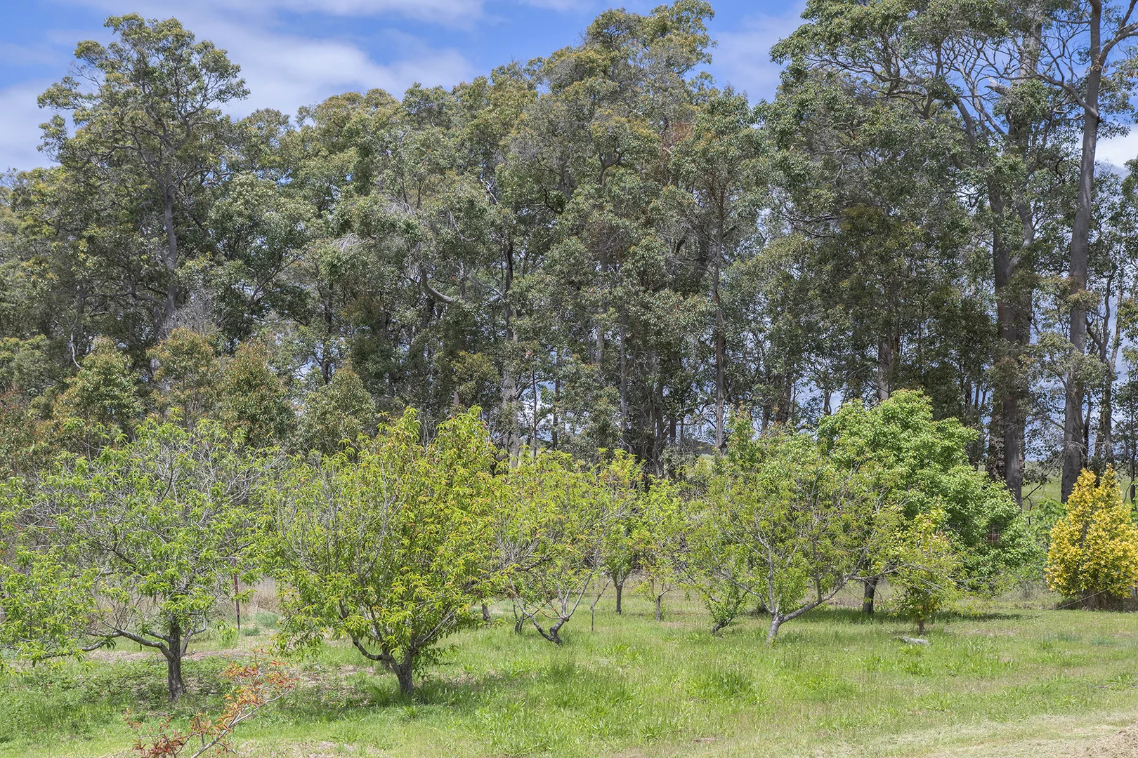 Additional image 21 of 45 Mount Leeuwin Loop Road, Carlotta WA 6275