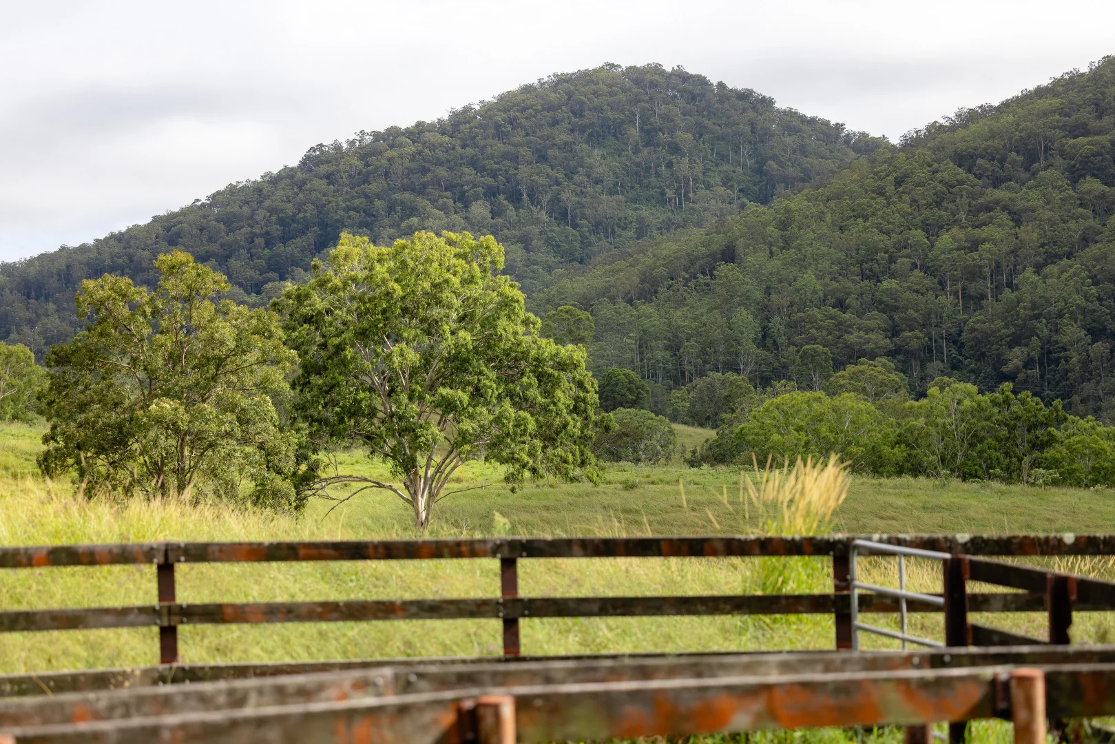 Additional image 20 of 382 Norwood Lane, Mount George NSW 2424