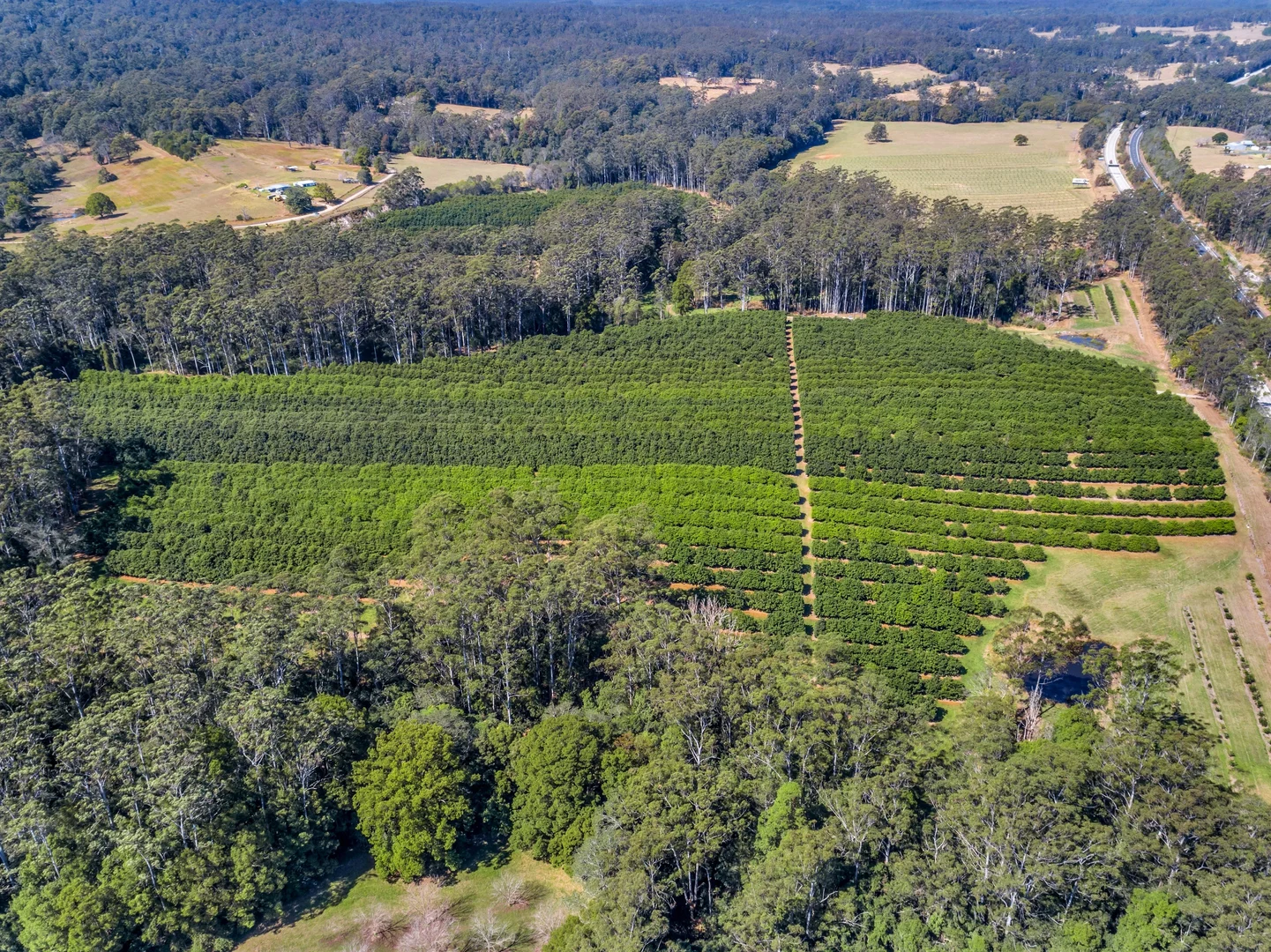 Additional image 11 of Pacific Highway, Eungai Creek NSW 2441