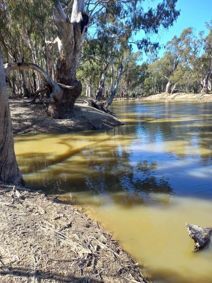 Additional image 21 of 1207 Fraser Road, Niemur NSW 2733