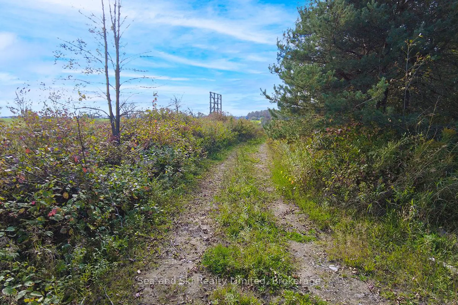 Additional image 9 of 31313 Grey Road 14 Road