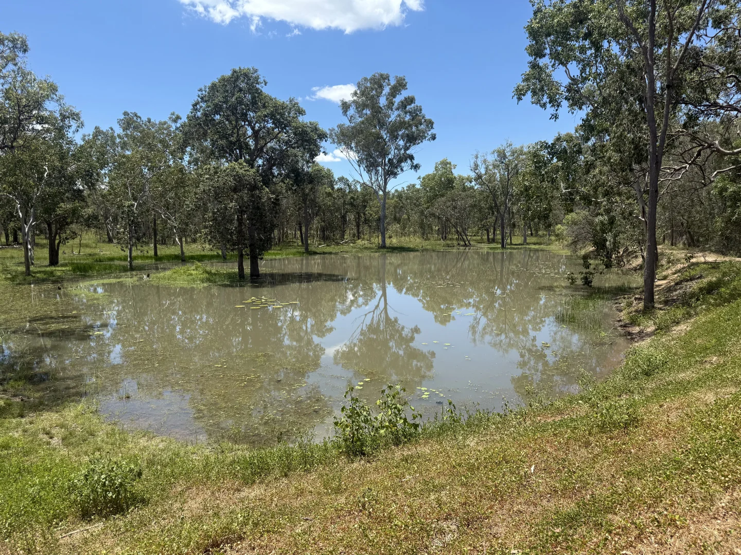 Additional image 16 of "Granite Springs" 22779 Kennedy Highway, Mount Garnet QLD 4872