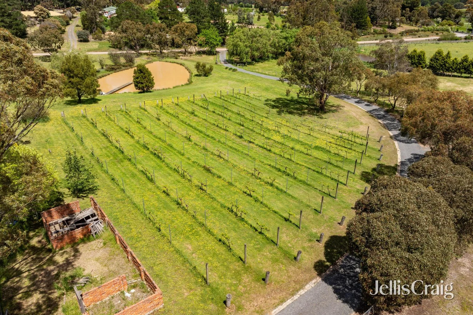 Additional image 30 of 244 Aubreys Road, Magpie VIC 3352