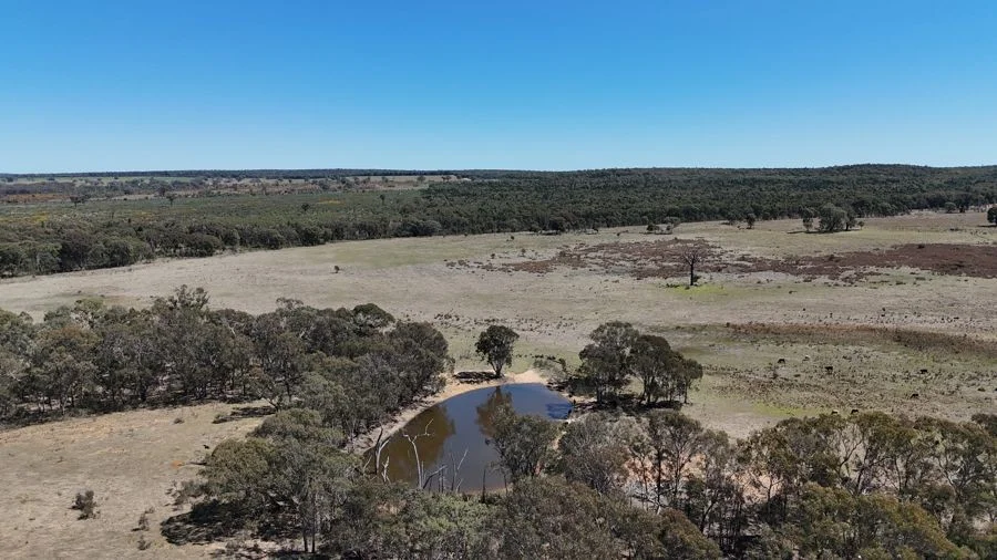 Additional image 2 of 188 Bullarook Road, Coolah NSW 2843