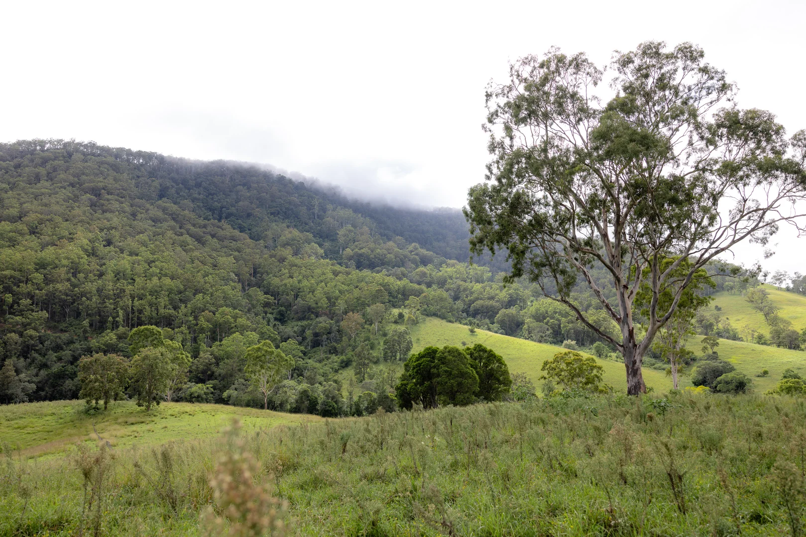 Additional image 23 of 382 Norwood Lane, Mount George NSW 2424