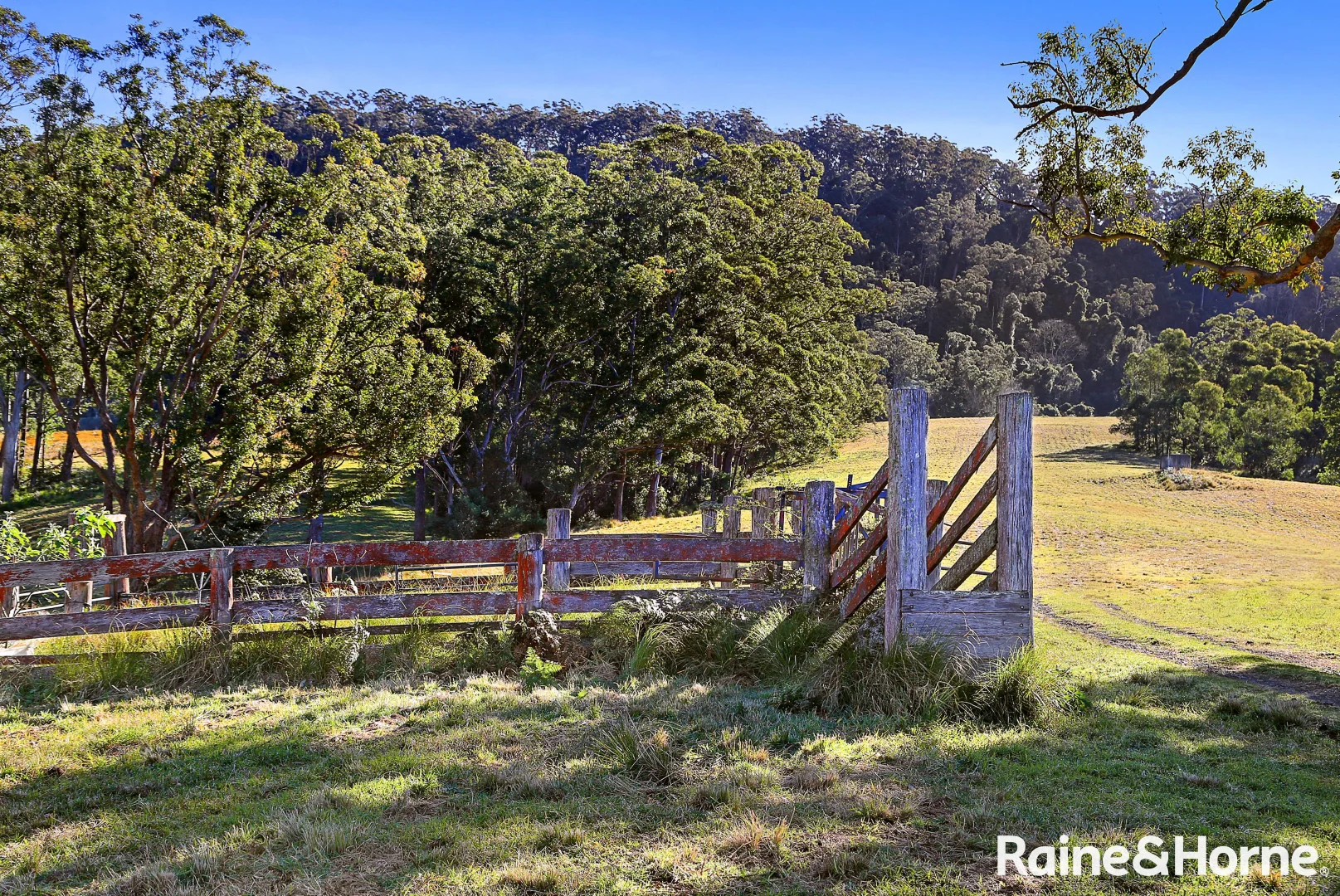 Additional image 6 of 461 Upper Kangaroo River Road, Upper Kangaroo River NSW 2577