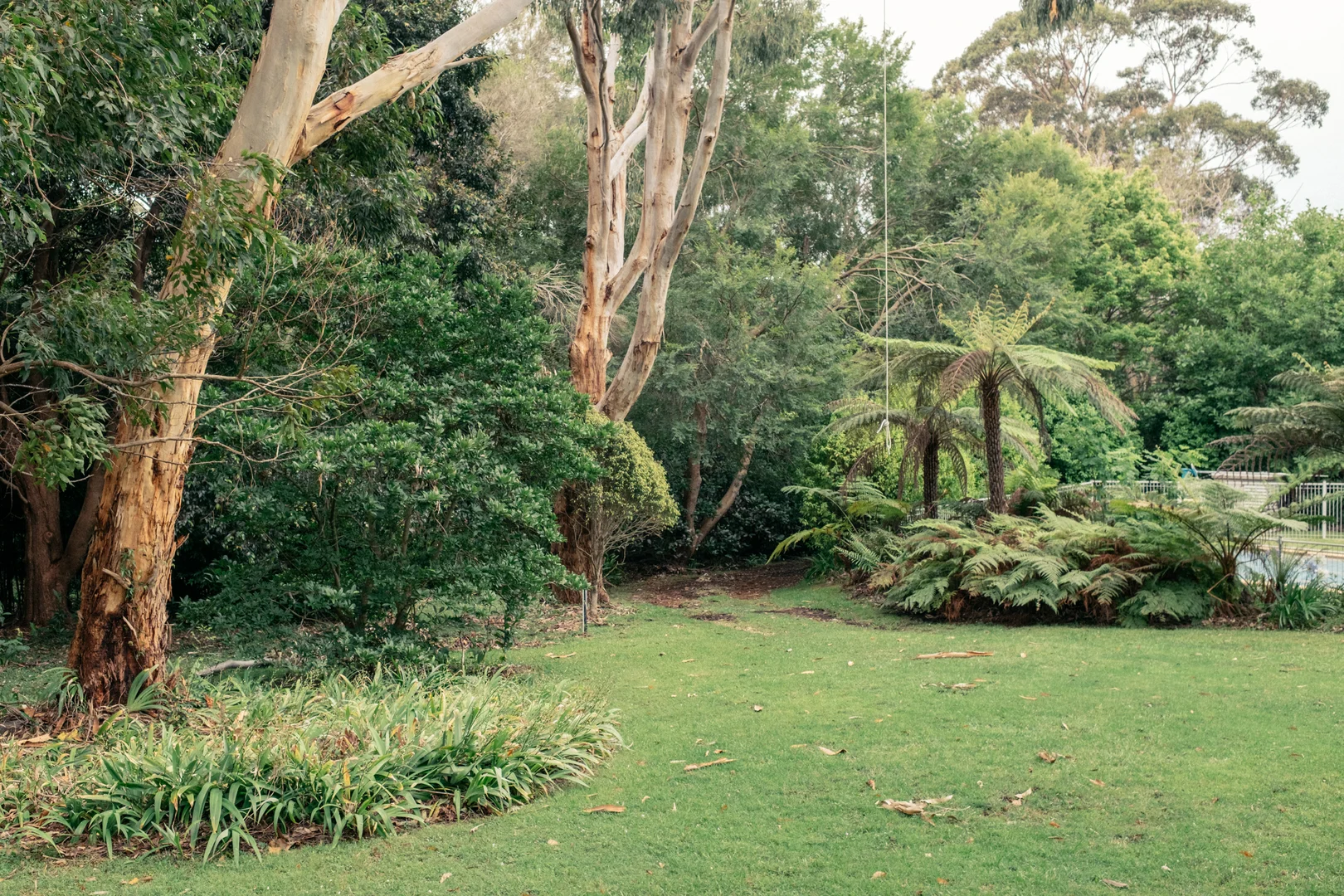 Additional image 32 of 11 Weemala Crescent, Bawley Point NSW 2539