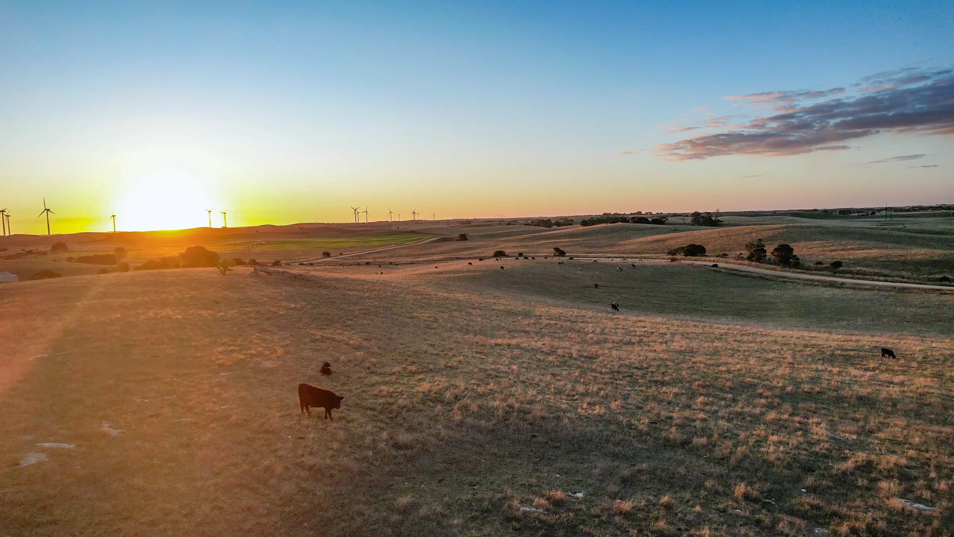 Additional image 4 of 359 Boundary Rd, Tantanoola SA 5280