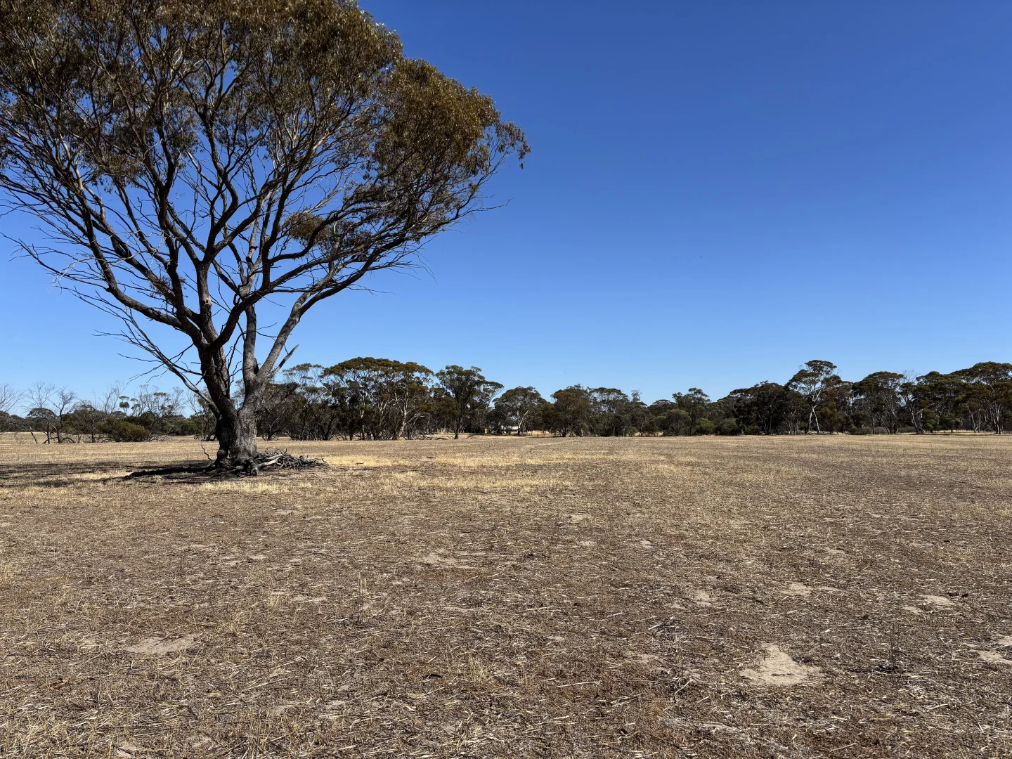 Additional image 20 of . 'Cobbers Soak', Quairading WA 6383