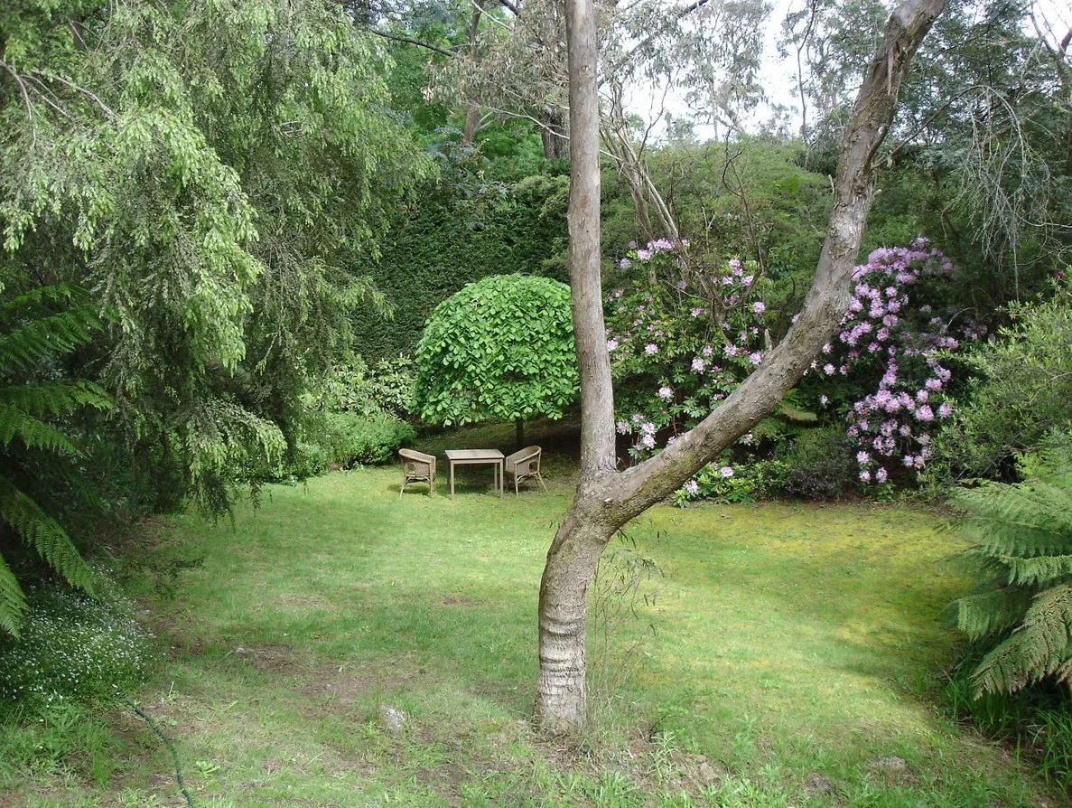 Additional image 15 of 1 Fletcher Street, Wentworth Falls NSW 2782