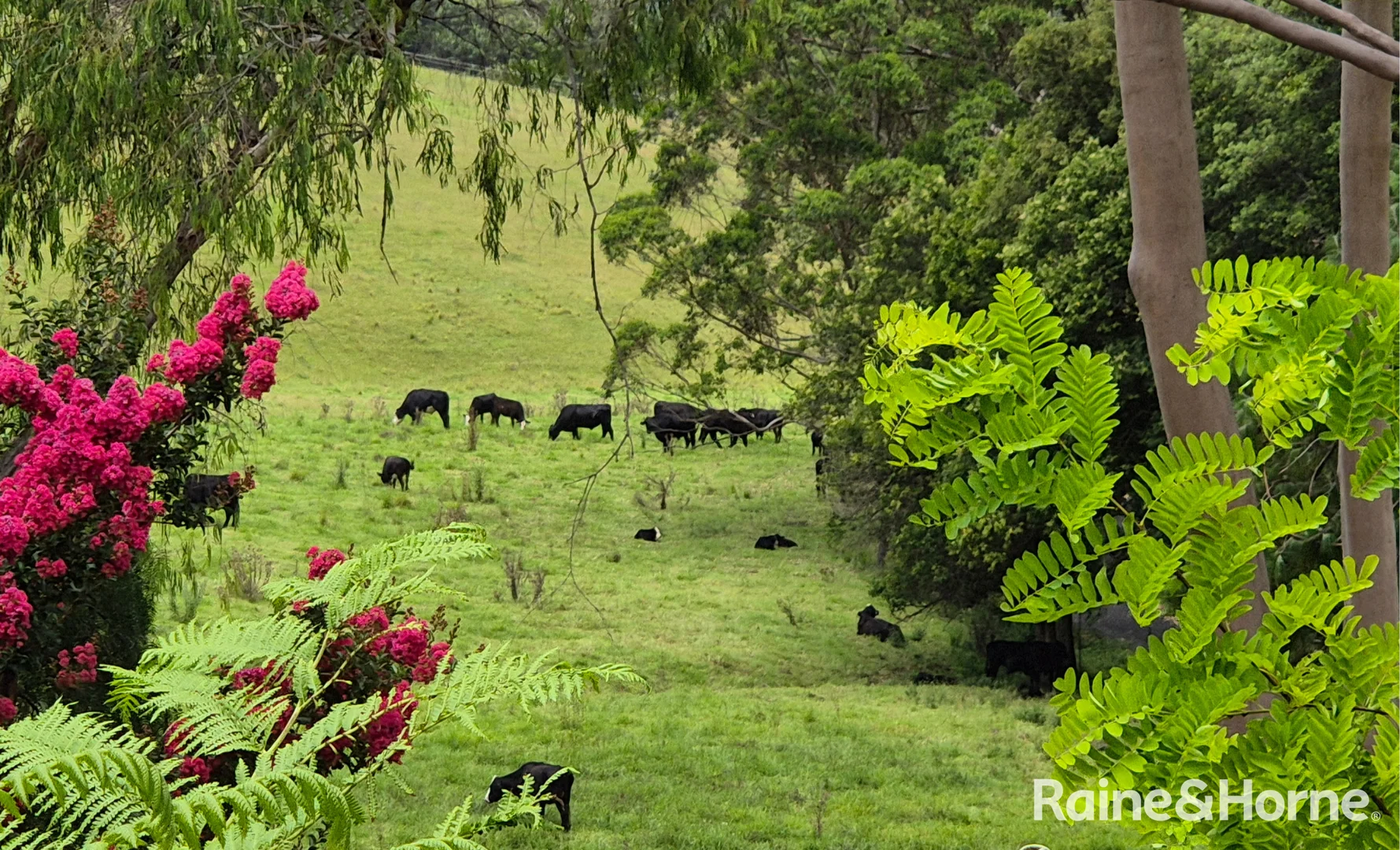 Additional image 16 of 250 Curramore Road, Jamberoo NSW 2533