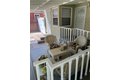 Additional image 37 of 11508 Old River School Rd, Downey, CA, 90241