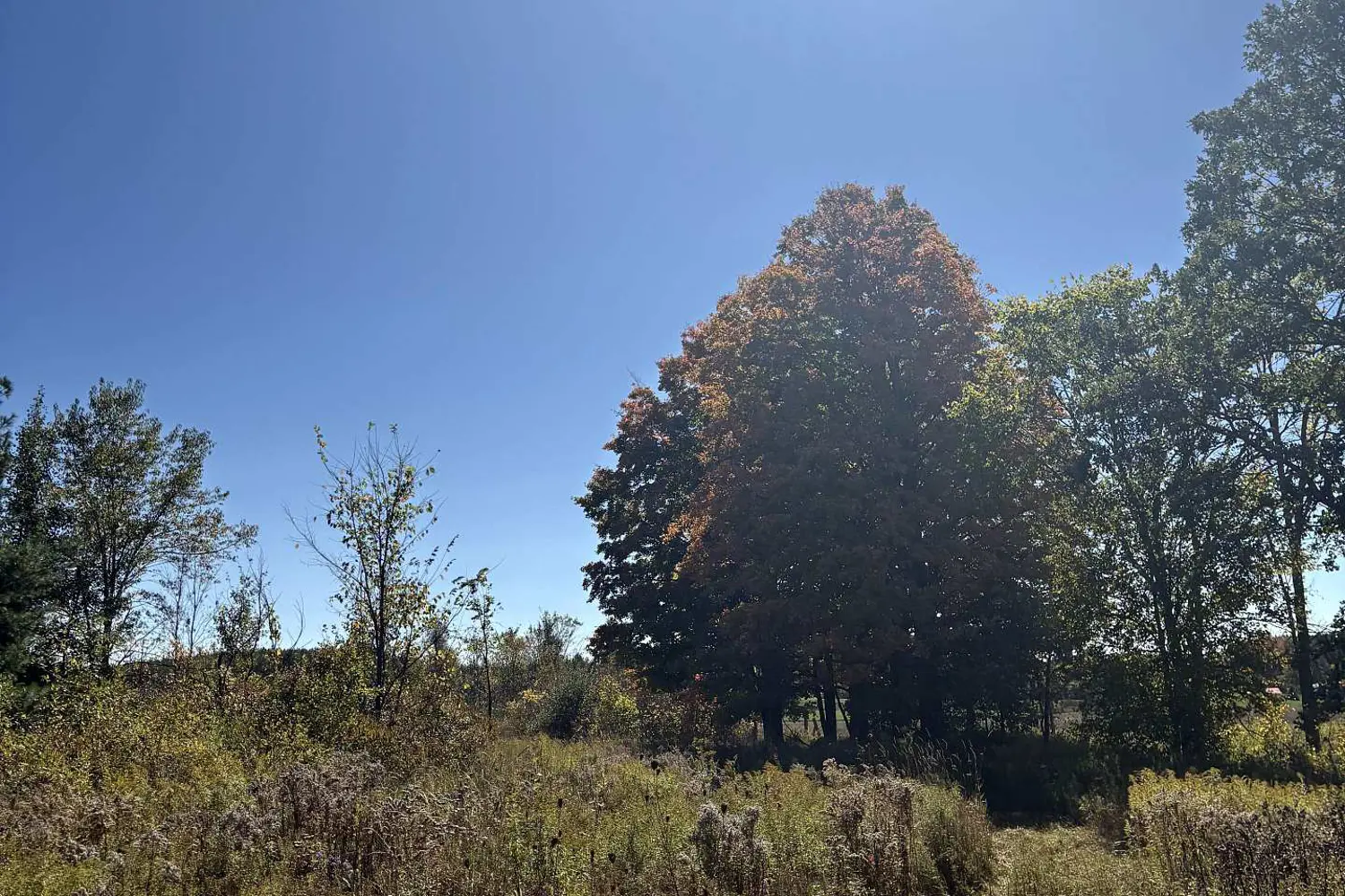 Additional image 11 of 309 Vanderwater Road