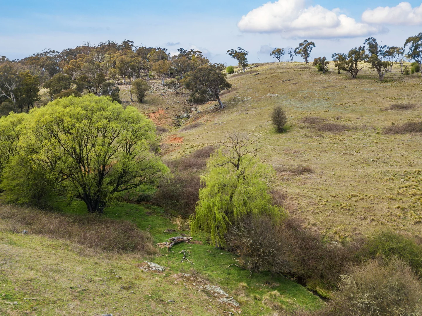 Additional image 5 of 55 Robbs Lane, Chatsbury NSW 2580