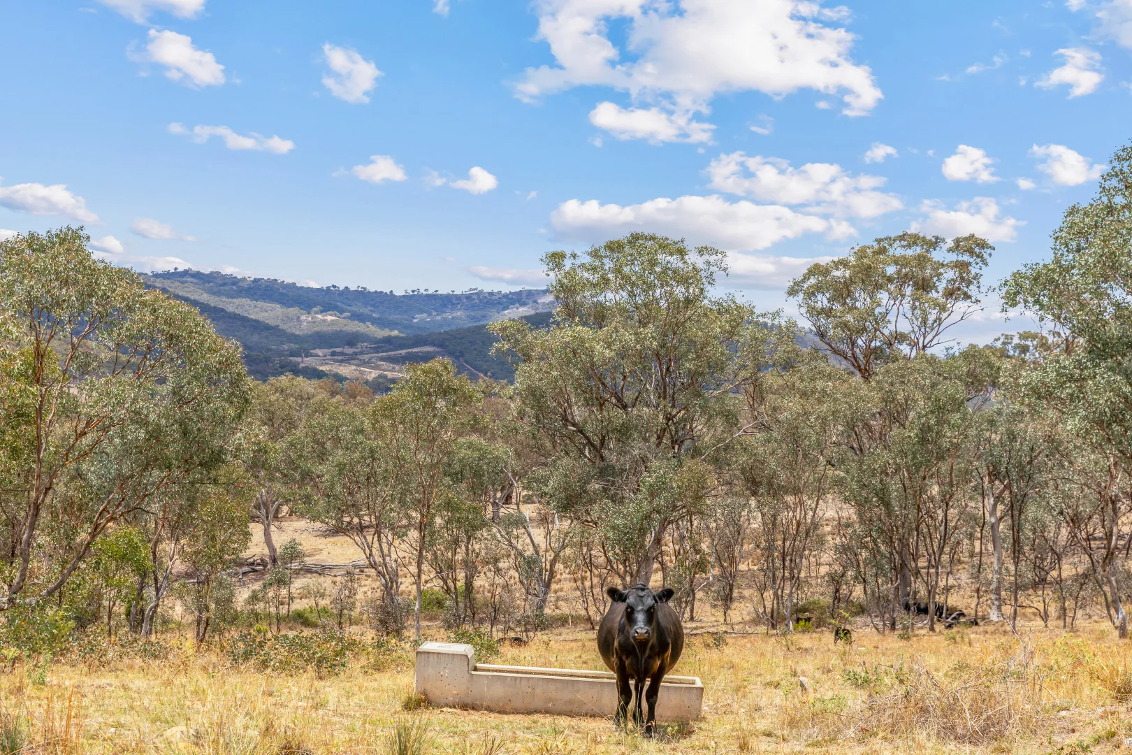 Additional image 19 of 748 Turondale Road, Duramana NSW 2795