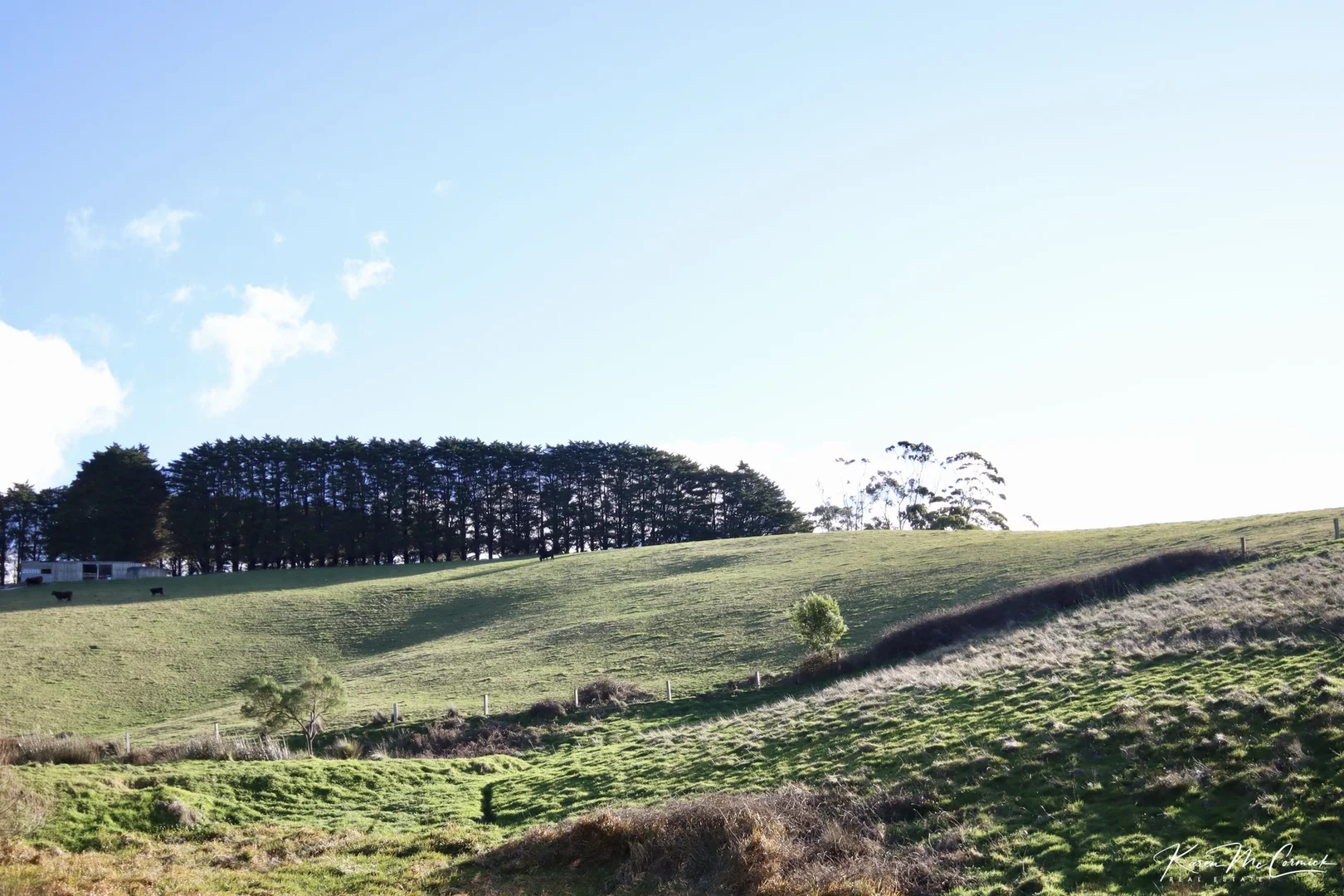 Additional image 17 of 200 Wonga Square Top Road, Wonga VIC 3960