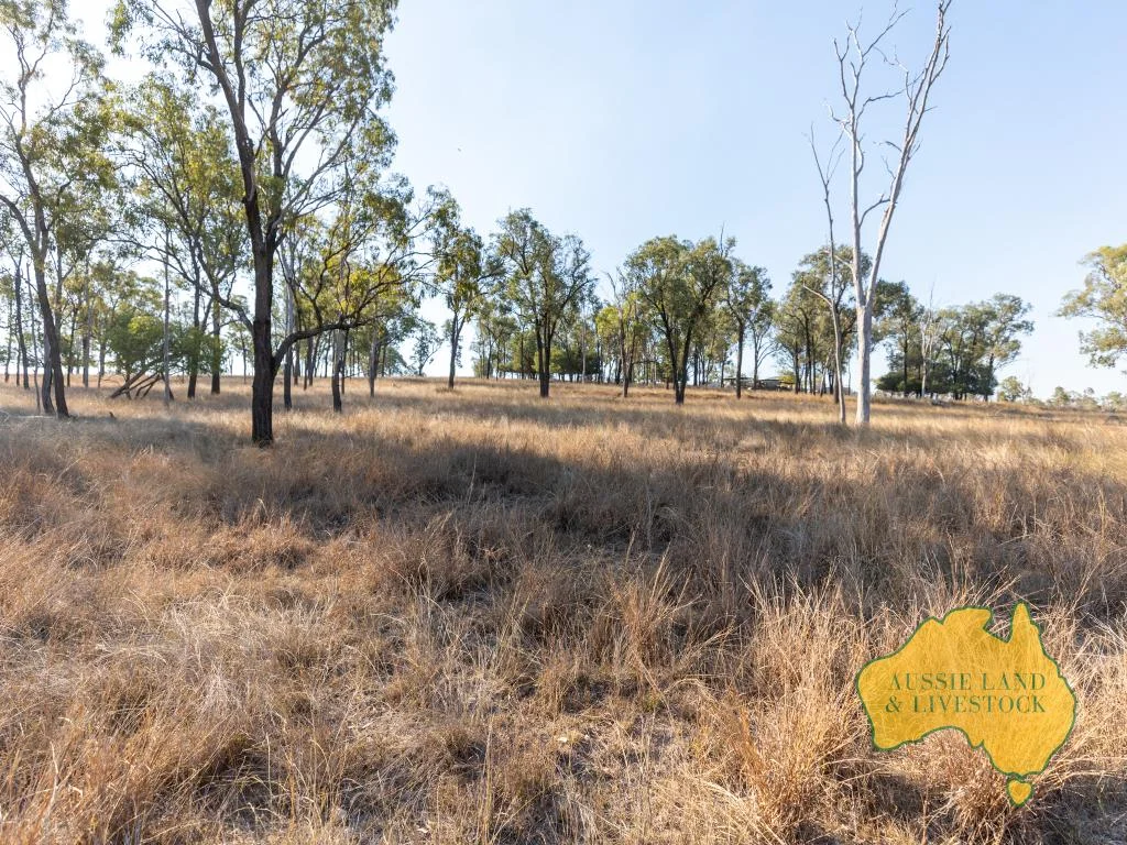 Additional image 47 of 110 BENHAMS ROAD, Mundubbera QLD 4626