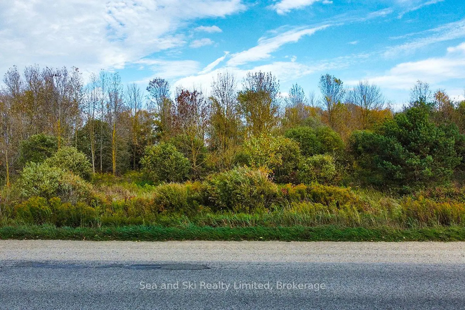 Additional image 14 of 31313 Grey Road 14 Road