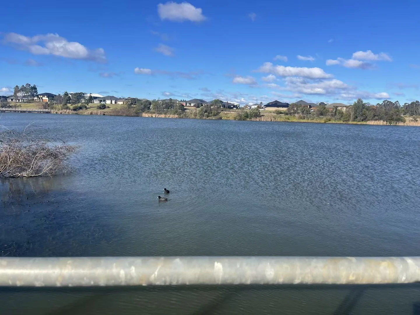 Additional image 8 of Lot 45/215 Macarthur Rd, Spring Farm NSW 2570