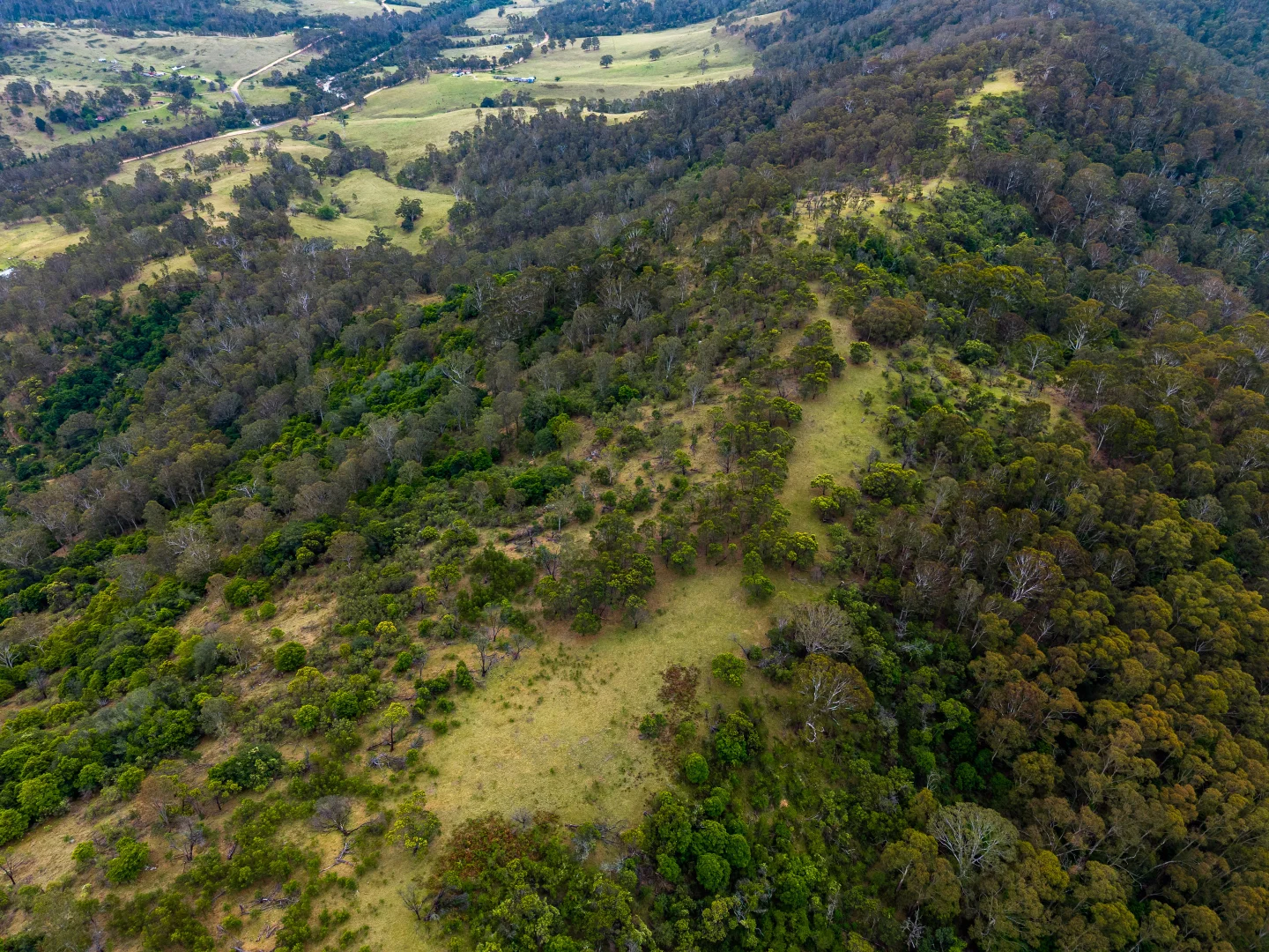 Additional image 10 of Candelo NSW 2550