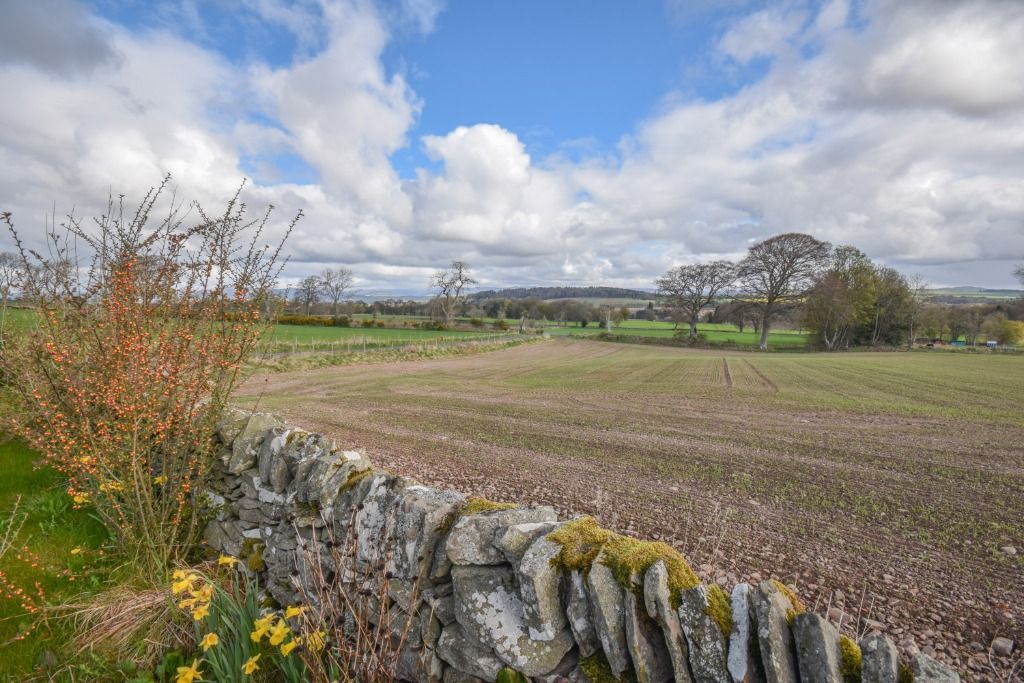 Additional image 46 of 2 bed semi-detached house to rentKincaldrum Park, Kincaldrum, Angus DD8