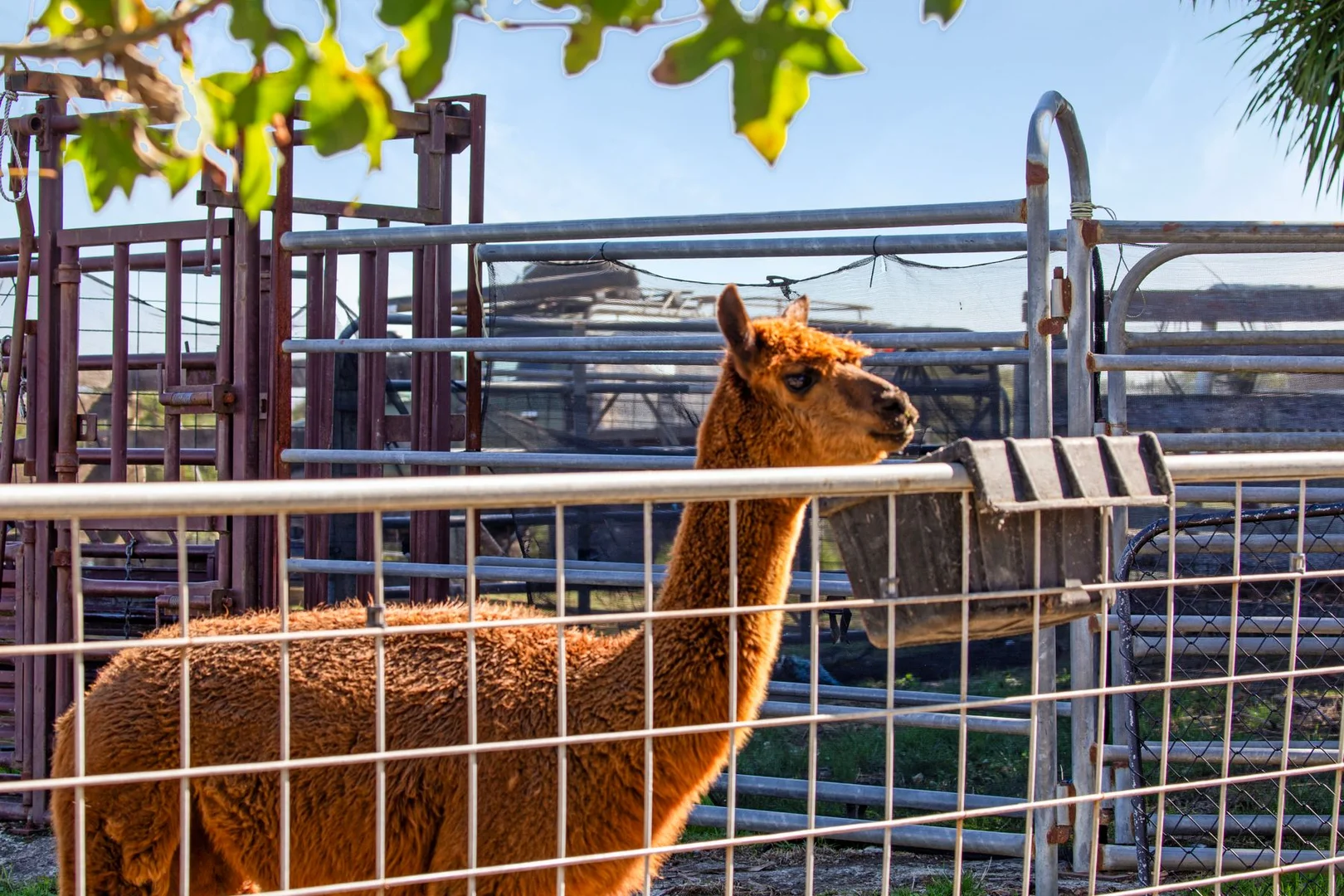 Additional image 29 of 20 Lester Drive, Nyora VIC 3987