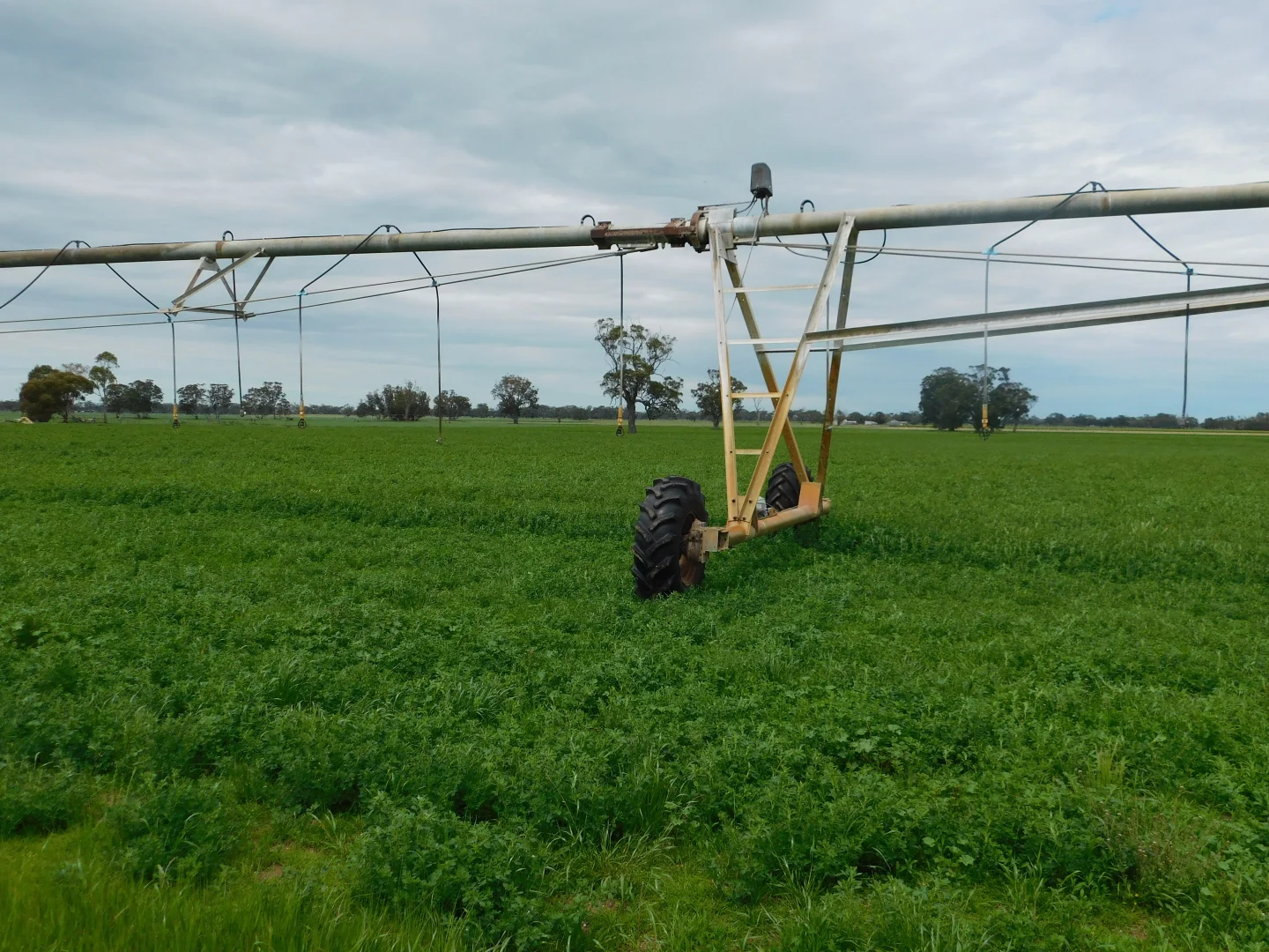 Additional image 9 of 16472 Dukes Hwy, Bordertown SA 5268