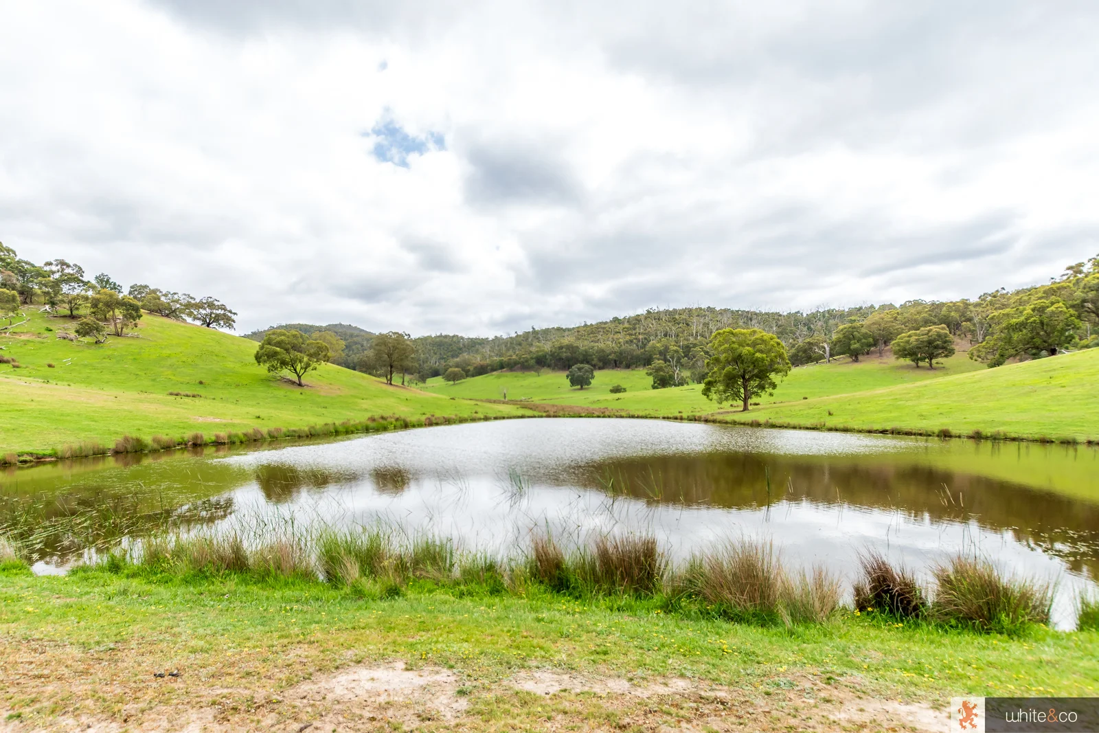 Additional image 4 of 200 Dalls Road, Whittlesea VIC 3757