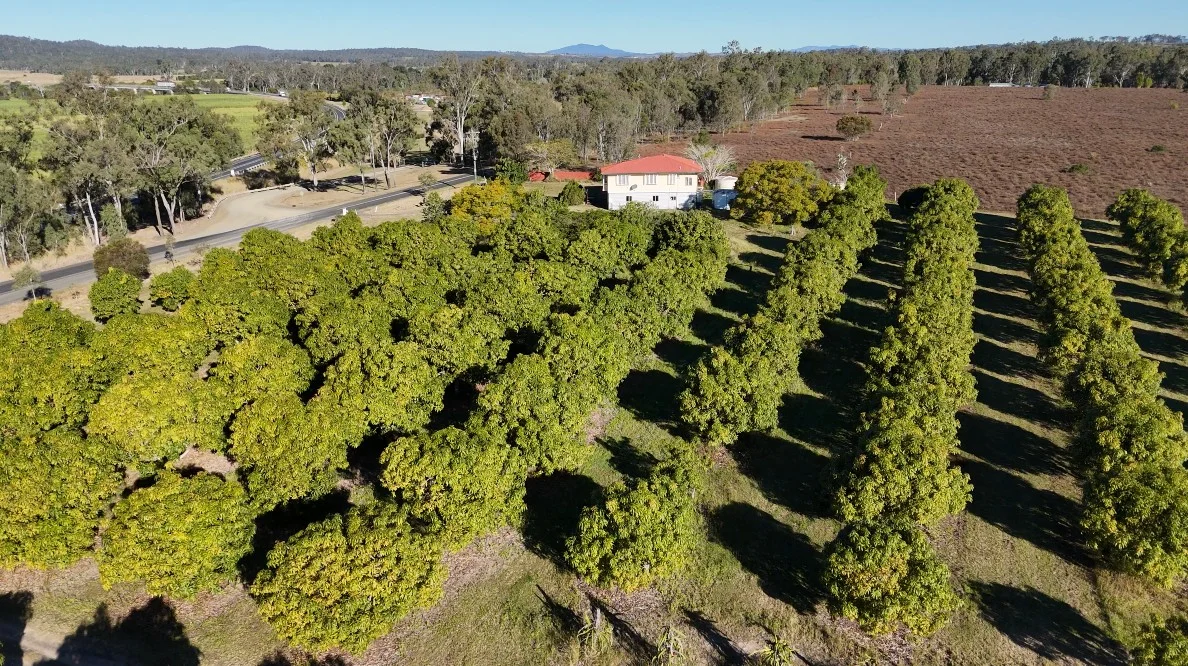 Additional image 3 of 70 Walla Road, Wallaville QLD 4671