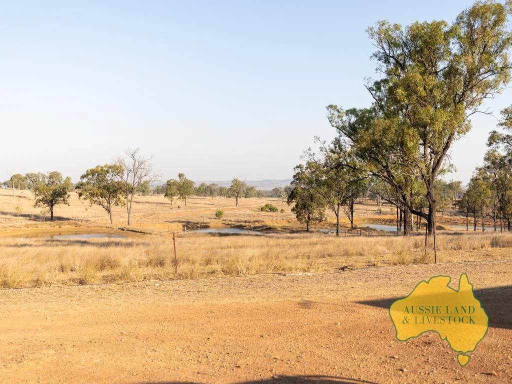 Additional image 19 of 110 BENHAMS ROAD, Mundubbera QLD 4626