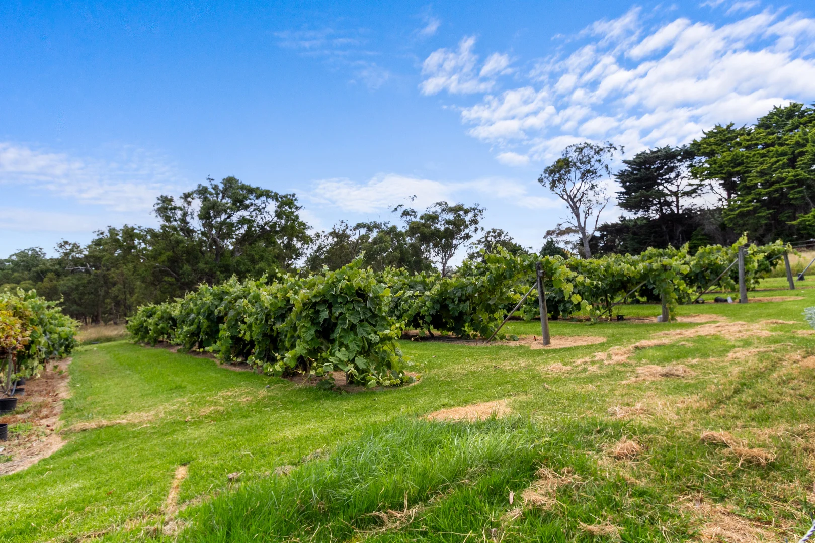 Additional image 18 of 55 Sagars Road, Hazelwood North VIC 3840