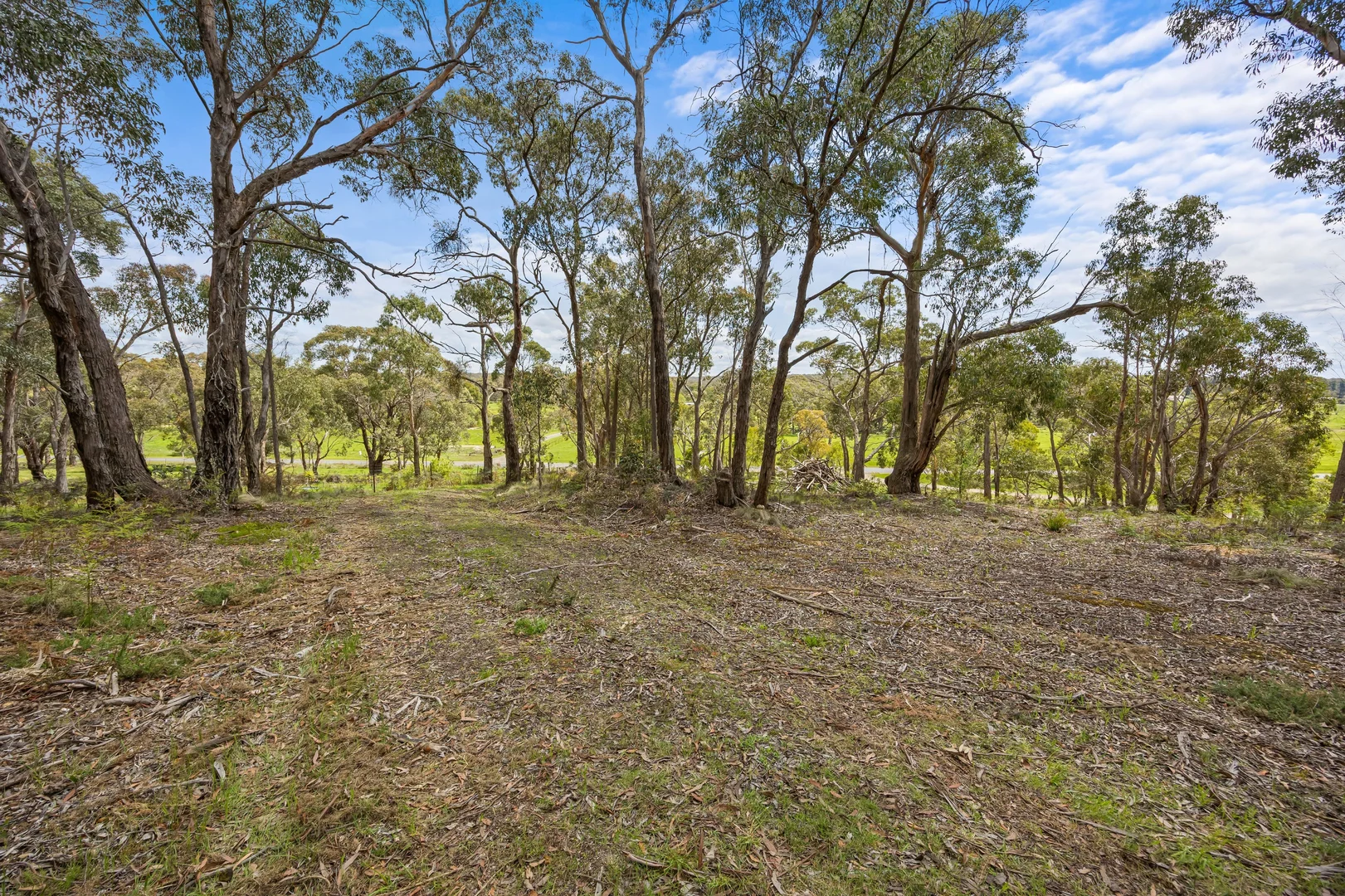Additional image 5 of 628 Linton-carngham Road, Snake Valley VIC 3351