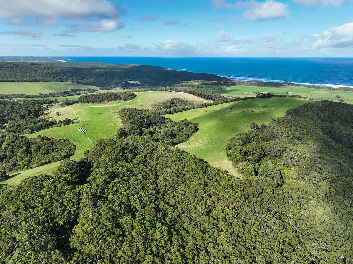 Additional image 5 of 105 Stafford Road, Johanna VIC 3238