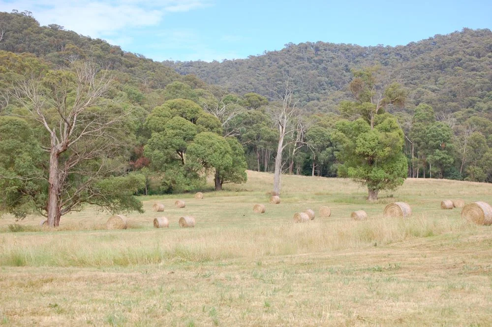 Additional image 29 of 40 Simpsons Creek Track, Nariel Valley VIC 3707