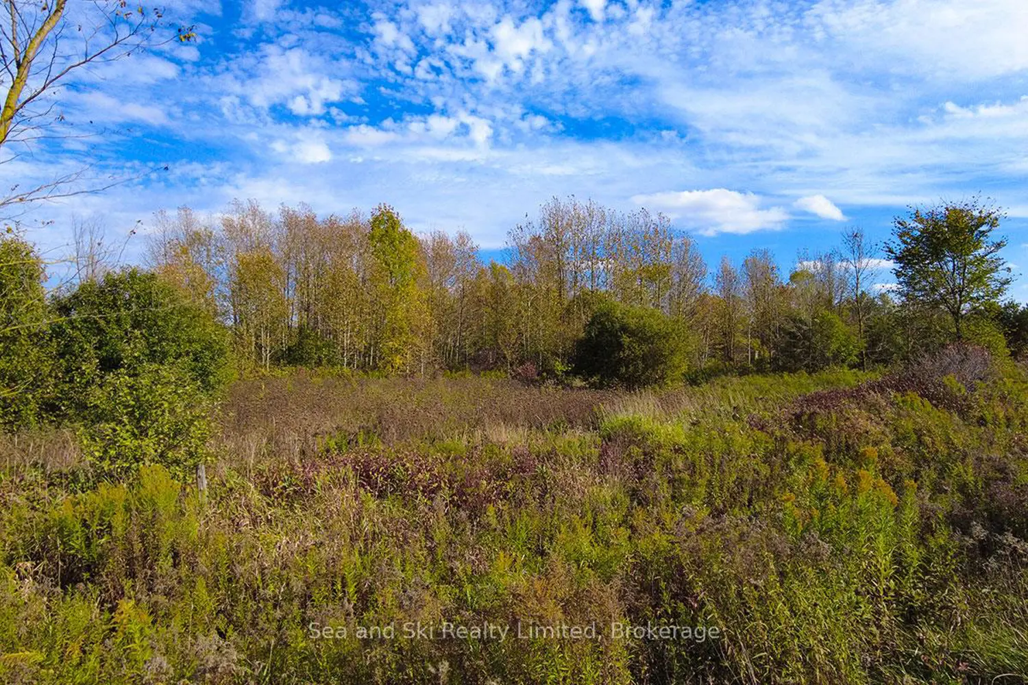 Additional image 15 of 31313 Grey Road 14 Road