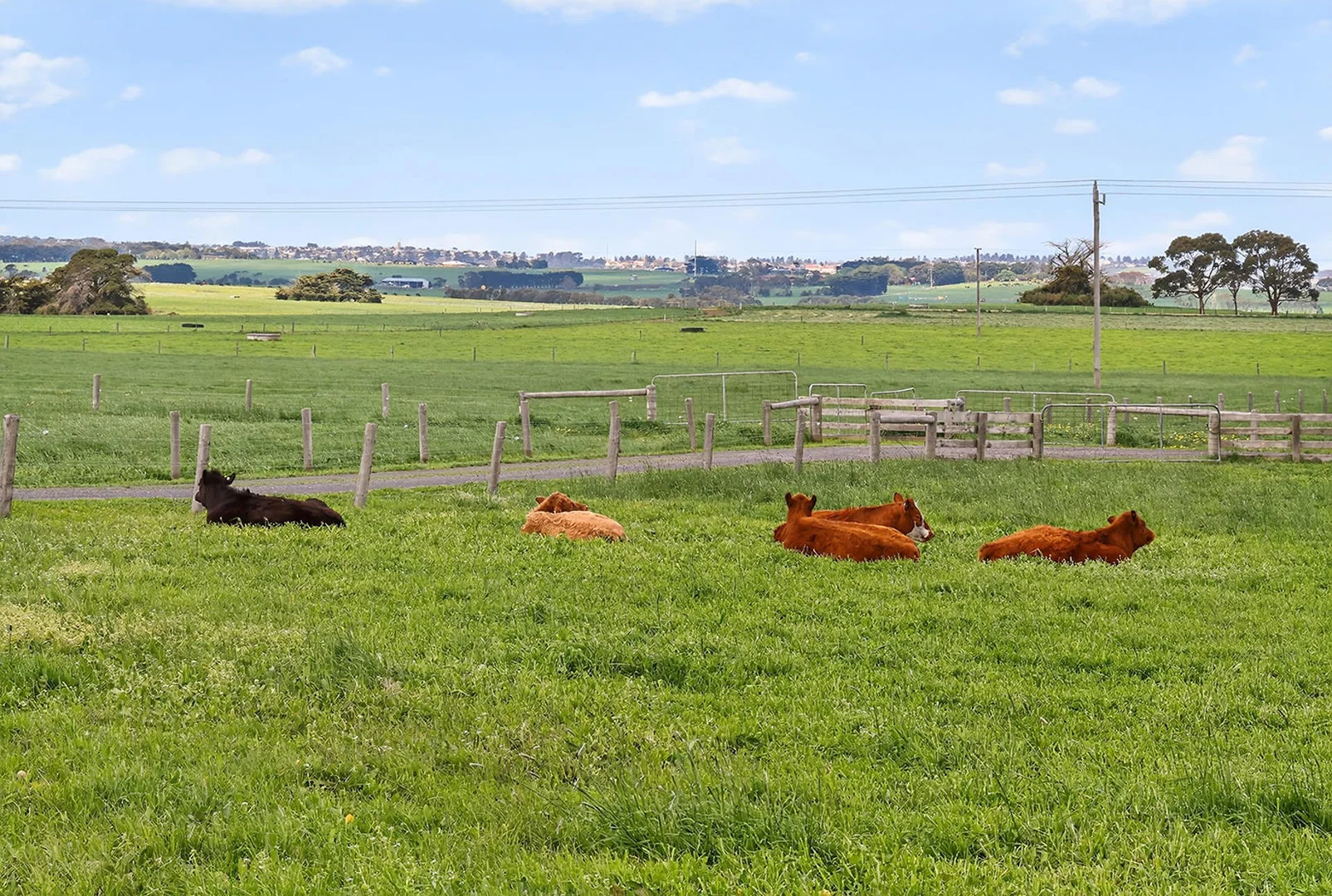 Additional image 16 of 530 Caramut Road, Woodford VIC 3281