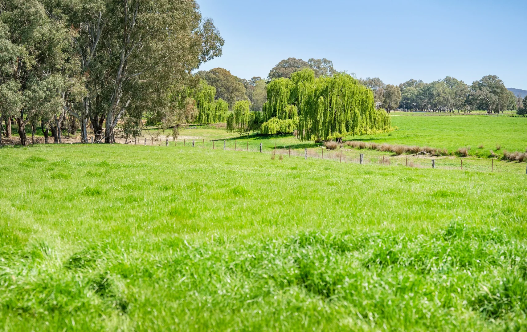 Additional image 7 of 336B Cookinburra Road, Indigo Valley VIC 3688