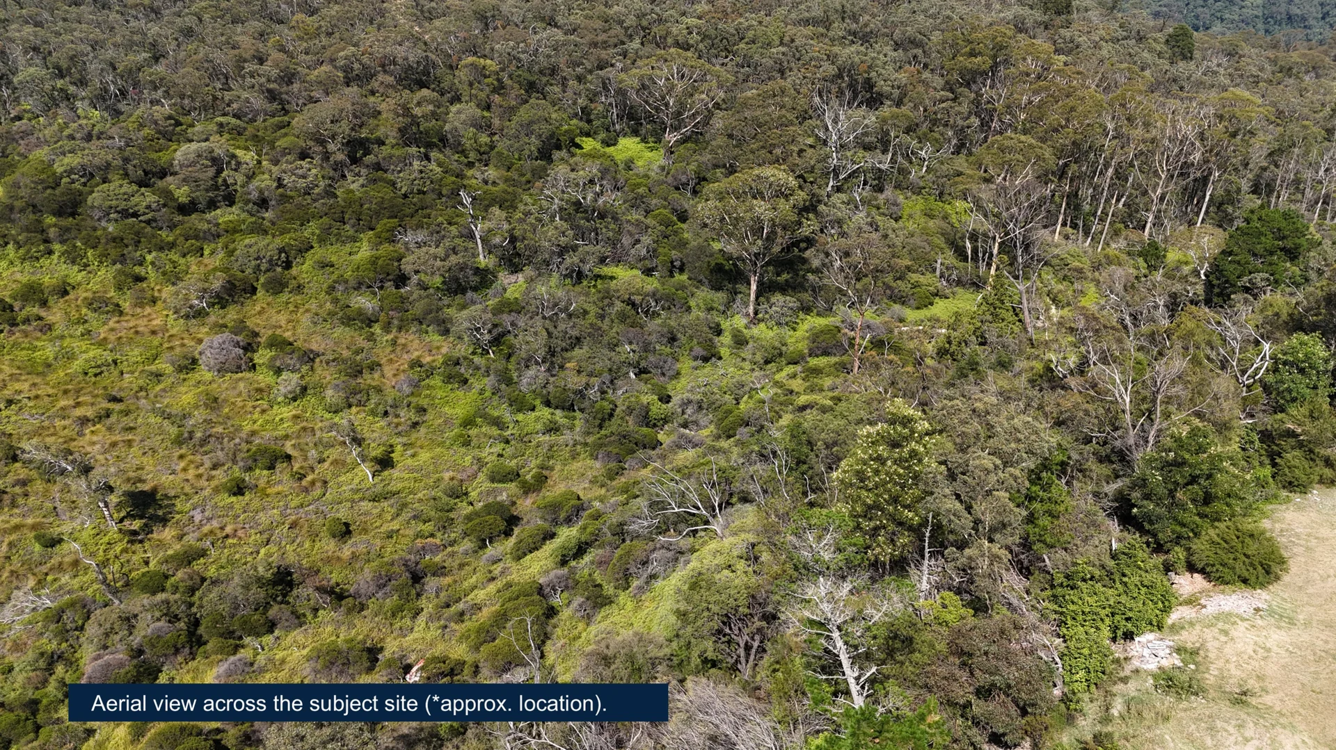 Additional image 4 of 212-216 Falls Road, Wentworth Falls NSW 2782