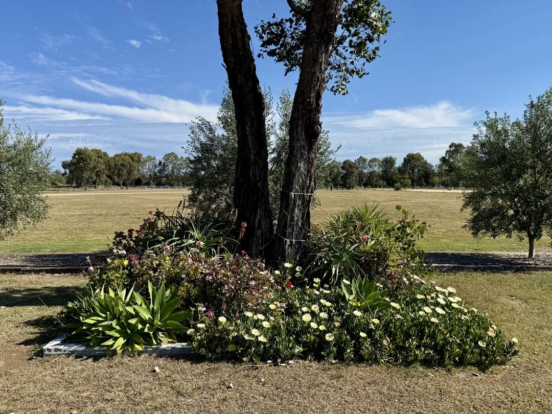 Additional image 12 of 155 River Road, Pallamallawa NSW 2399