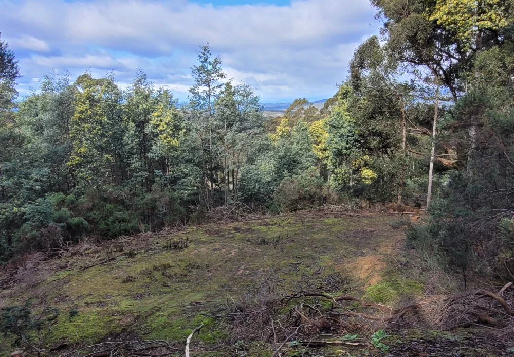 Additional image 3 of Lot 1, 1360 Huon Road, Neika TAS 7054